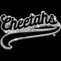 GLT78   SILVER GLITTER Thumbnail